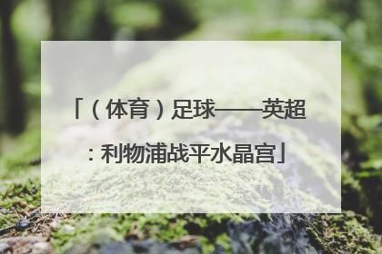 （体育）足球——英超：利物浦战平水晶宫