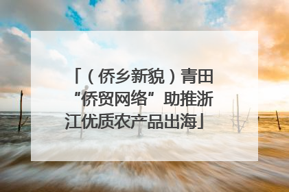 （侨乡新貌）青田“侨贸网络”助推浙江优质农产品出海