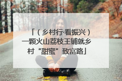 （乡村行·看振兴）一颗火山荔枝王铺就乡村“甜蜜”致富路