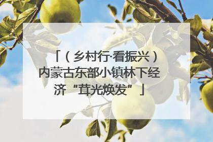 （乡村行·看振兴）内蒙古东部小镇林下经济“茸光焕发”