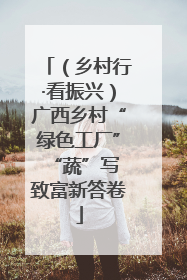 （乡村行·看振兴）广西乡村“绿色工厂” “蔬”写致富新答卷