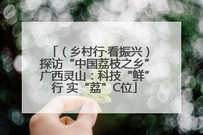 （乡村行·看振兴）探访“中国荔枝之乡”广西灵山：科技“鲜”行 实“荔”C位