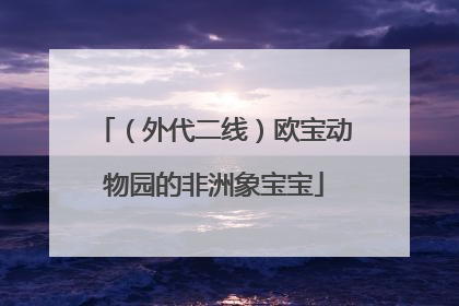 （外代二线）欧宝动物园的非洲象宝宝
