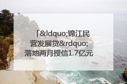 “锦江民营发展贷”落地两月授信1.7亿元，惠及118家民企