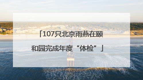 107只北京雨燕在颐和园完成年度“体检”