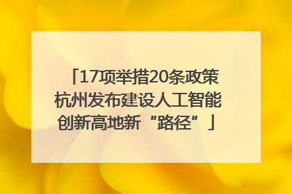 17项举措20条政策 杭州发布建设人工智能创新高地新“路径”