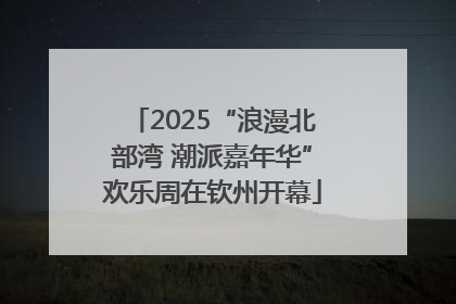 2025“浪漫北部湾 潮派嘉年华”欢乐周在钦州开幕