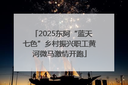 2025东阿“蓝天七色”乡村振兴职工黄河微马激情开跑