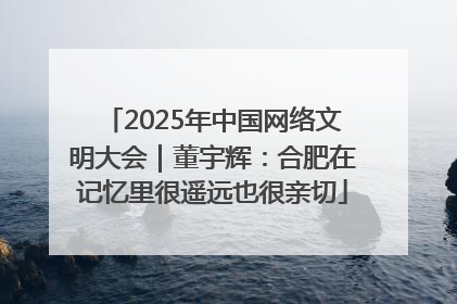 2025年中国网络文明大会｜董宇辉：合肥在记忆里很遥远也很亲切