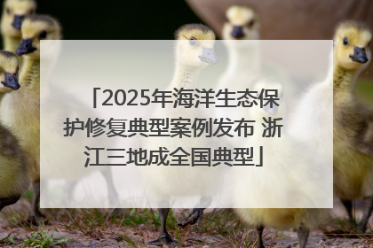 2025年海洋生态保护修复典型案例发布 浙江三地成全国典型