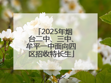 2025年烟台二中、三中、牟平一中面向四区招收特长生
