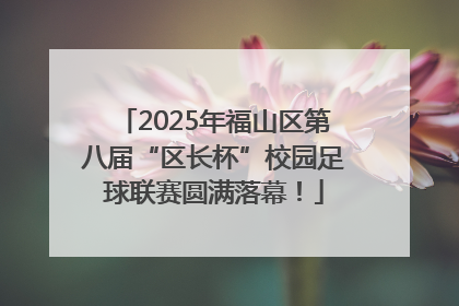 2025年福山区第八届“区长杯”校园足球联赛圆满落幕！
