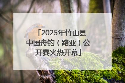 2025年竹山县中国舟钓（路亚）公开赛火热开幕