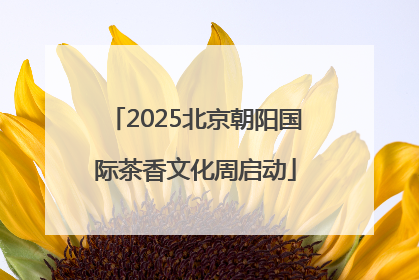 2025北京朝阳国际茶香文化周启动