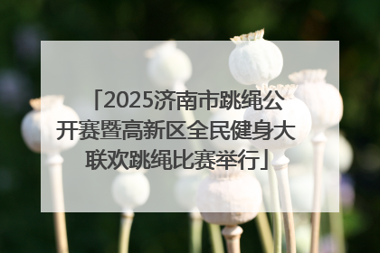 2025济南市跳绳公开赛暨高新区全民健身大联欢跳绳比赛举行
