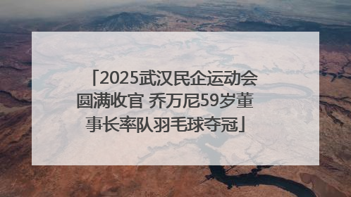 2025武汉民企运动会圆满收官 乔万尼59岁董事长率队羽毛球夺冠