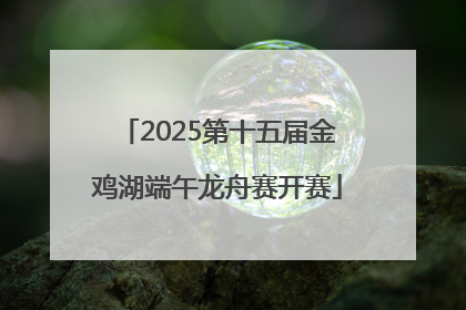 2025第十五届金鸡湖端午龙舟赛开赛