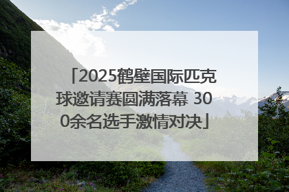 2025鹤壁国际匹克球邀请赛圆满落幕 300余名选手激情对决