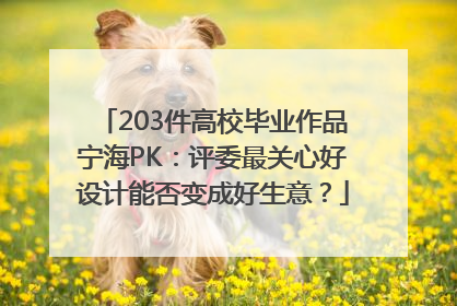 203件高校毕业作品宁海PK：评委最关心好设计能否变成好生意？