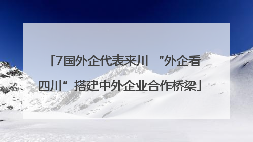 7国外企代表来川 “外企看四川”搭建中外企业合作桥梁