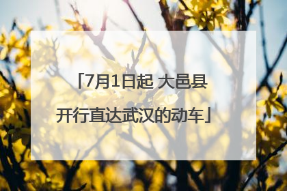 7月1日起 大邑县开行直达武汉的动车