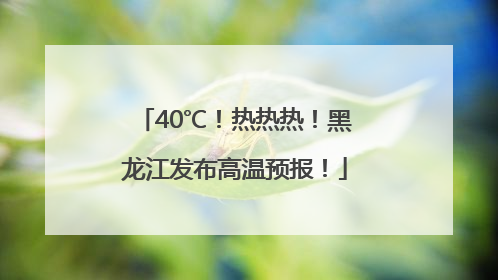 40℃！热热热！黑龙江发布高温预报！