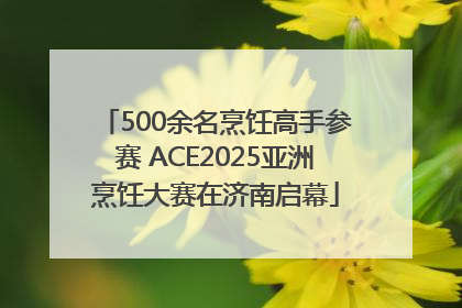 500余名烹饪高手参赛 ACE2025亚洲烹饪大赛在济南启幕
