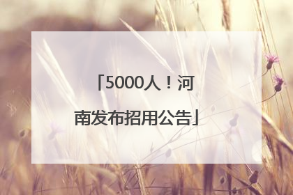 5000人！河南发布招用公告