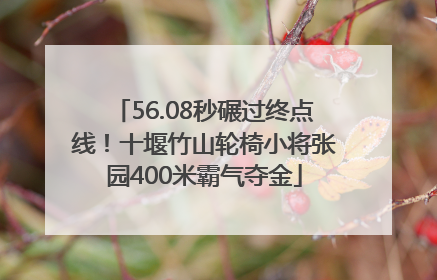 56.08秒碾过终点线！十堰竹山轮椅小将张园400米霸气夺金