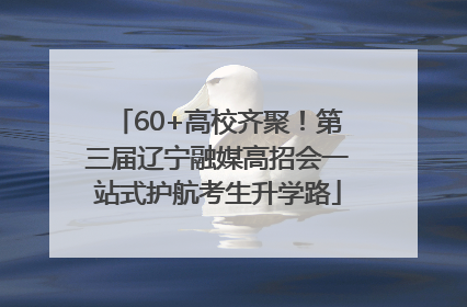 60+高校齐聚！第三届辽宁融媒高招会一站式护航考生升学路