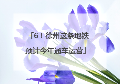 6！徐州这条地铁预计今年通车运营