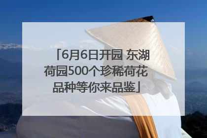 6月6日开园 东湖荷园500个珍稀荷花品种等你来品鉴