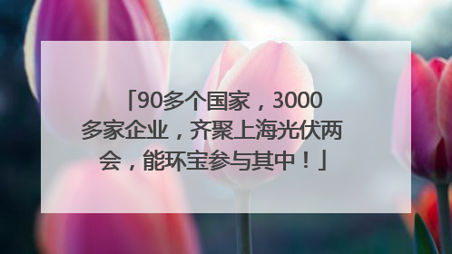 90多个国家，3000多家企业，齐聚上海光伏两会，能环宝参与其中！