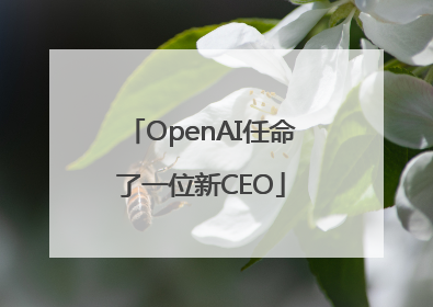 OpenAI任命了一位新CEO