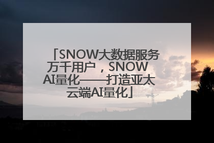 SNOW大数据服务万千用户，SNOW AI量化——打造亚太云端AI量化
