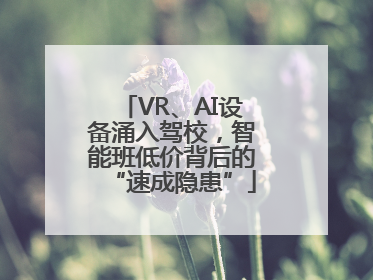 VR、AI设备涌入驾校，智能班低价背后的“速成隐患”